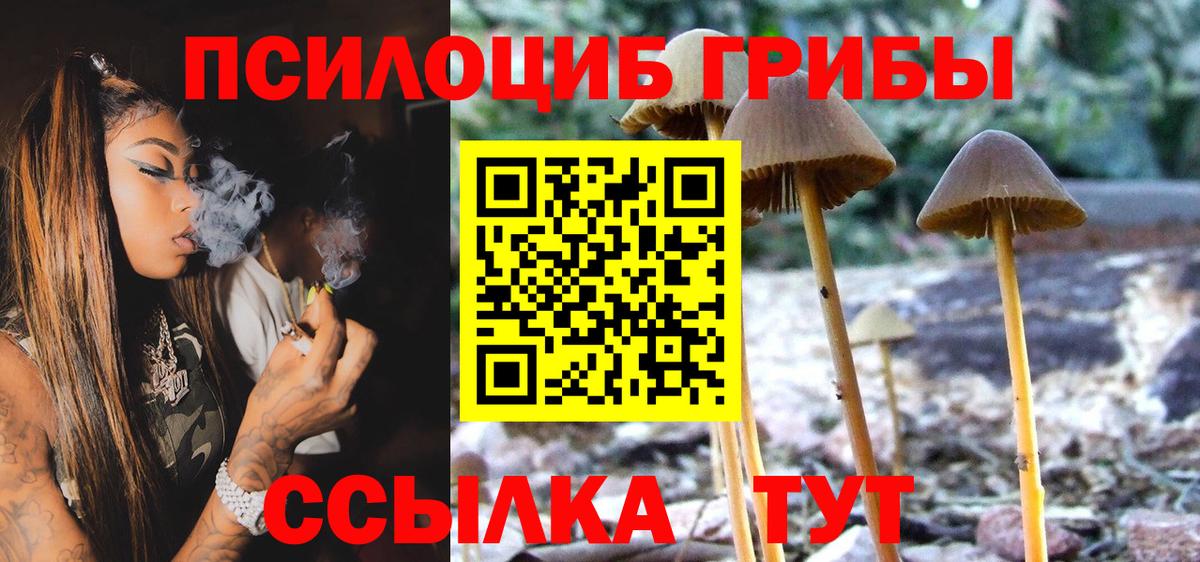 купить наркотик  Галлюциногенные грибы мицелий  Вход с VPN  Воткинск 